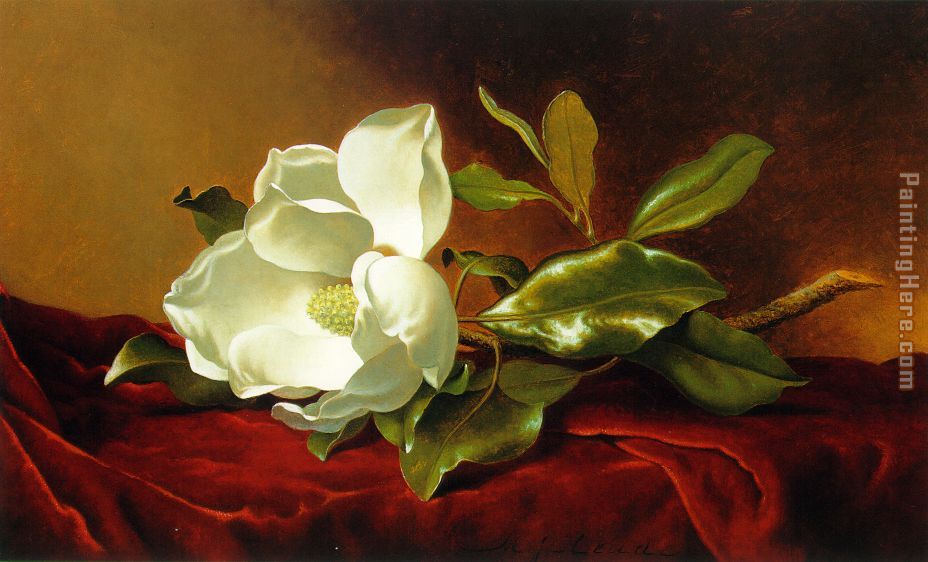 A Magnolia on Red Velvet painting - Martin Johnson Heade A Magnolia on Red Velvet art painting